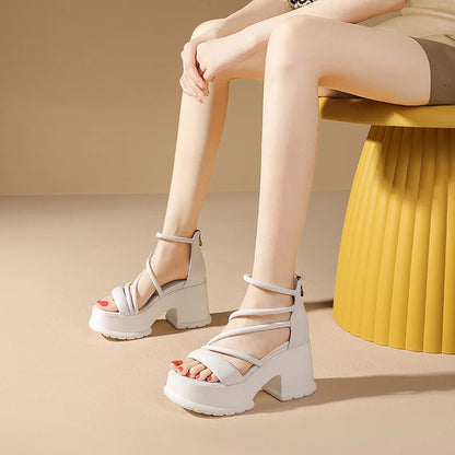 Women Platform High Heels Wedges Buckle Slope Sandals Women Shoes Summer New Fashion Thin Band Thick Sole Pumps Zapatos De Mujer